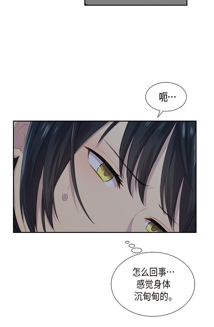 52 原始裂缝56