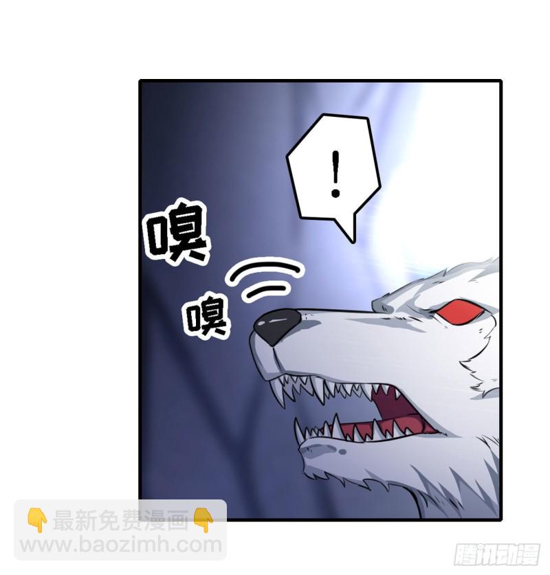 第103话 激昂金狮3