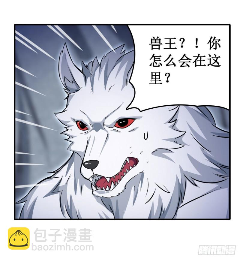 第103话 激昂金狮7