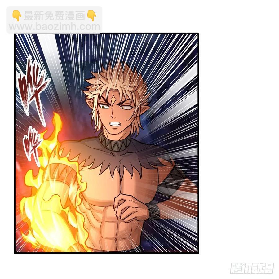 第204话 护身灵兽16