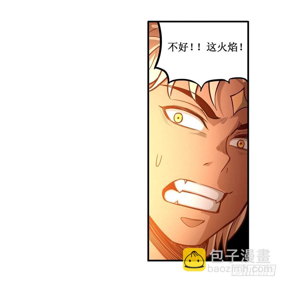 第204话 护身灵兽17