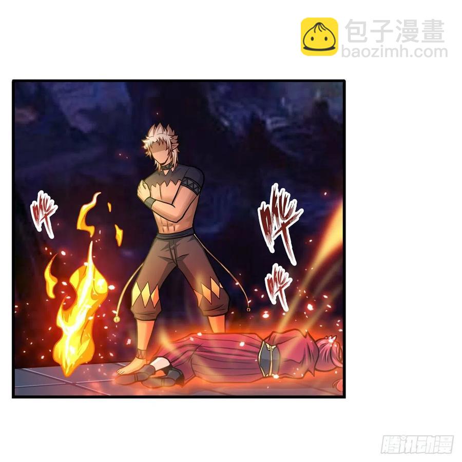 第204话 护身灵兽20