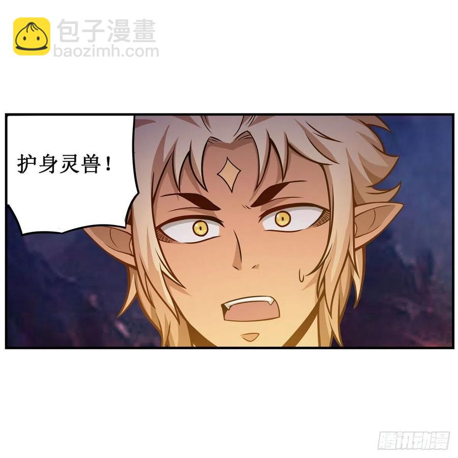 第204话 护身灵兽25