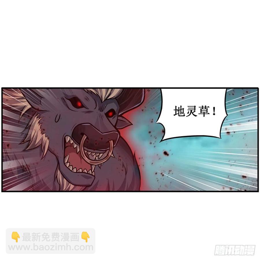 第213话 地灵草1