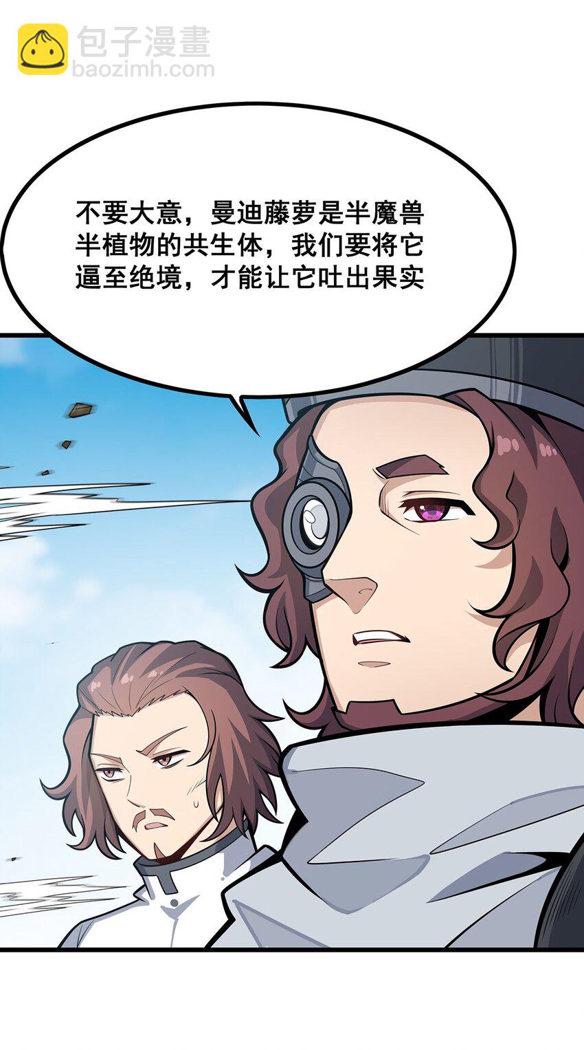 420 曼迪藤萝花26