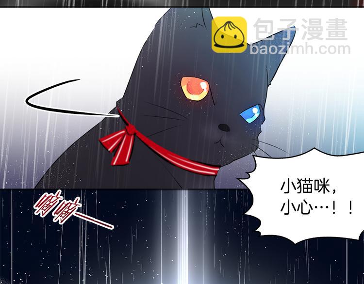 序章 遇见异瞳猫王子7