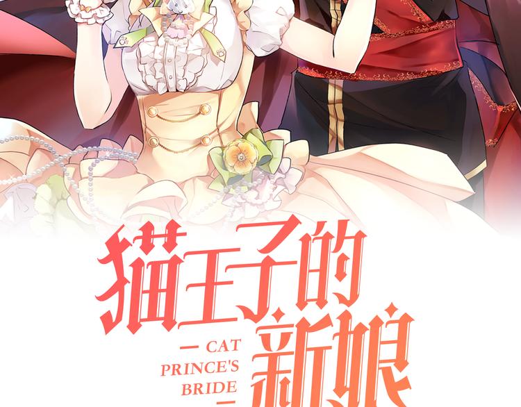 第1+2话 你好小猫咪1