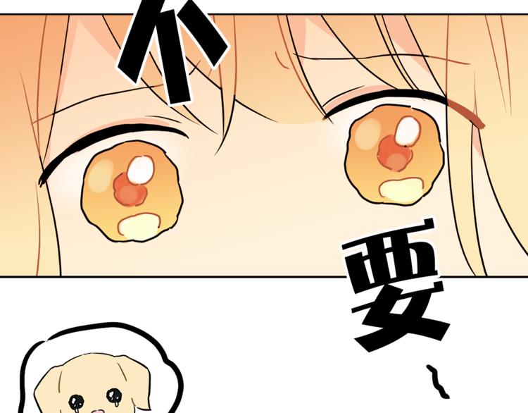 第1+2话 你好小猫咪116