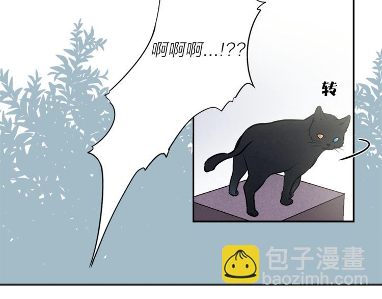 第1+2话 你好小猫咪147