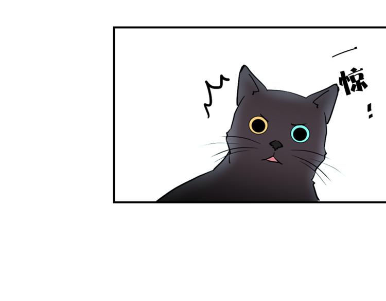 第1+2话 你好小猫咪149