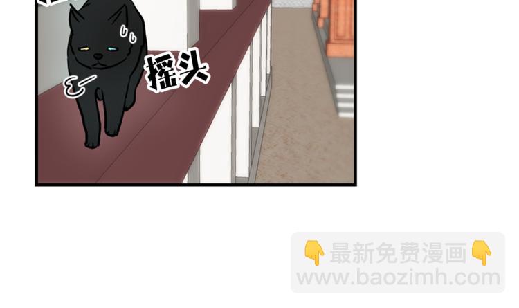 第1+2话 你好小猫咪159