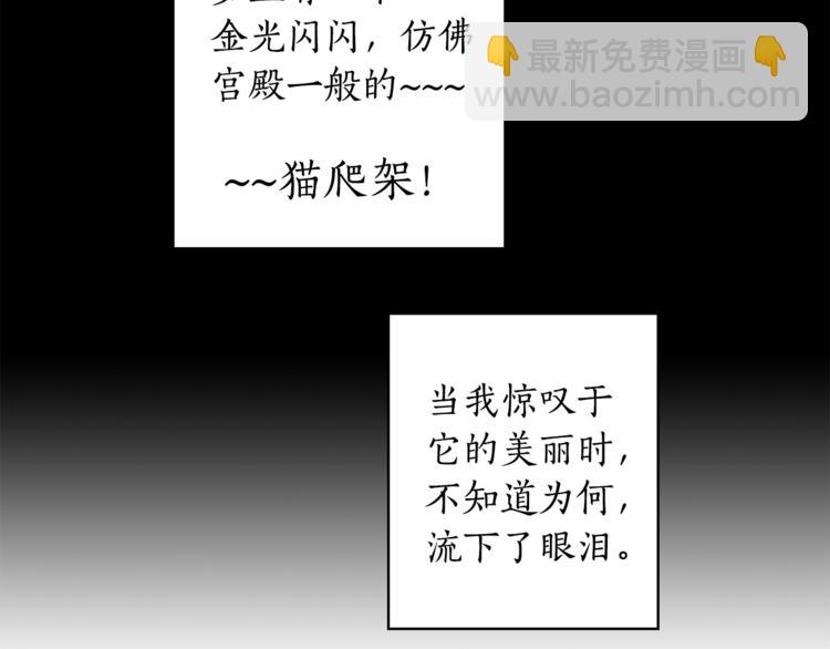 第1+2话 你好小猫咪174