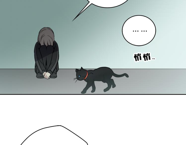 第1+2话 你好小猫咪246