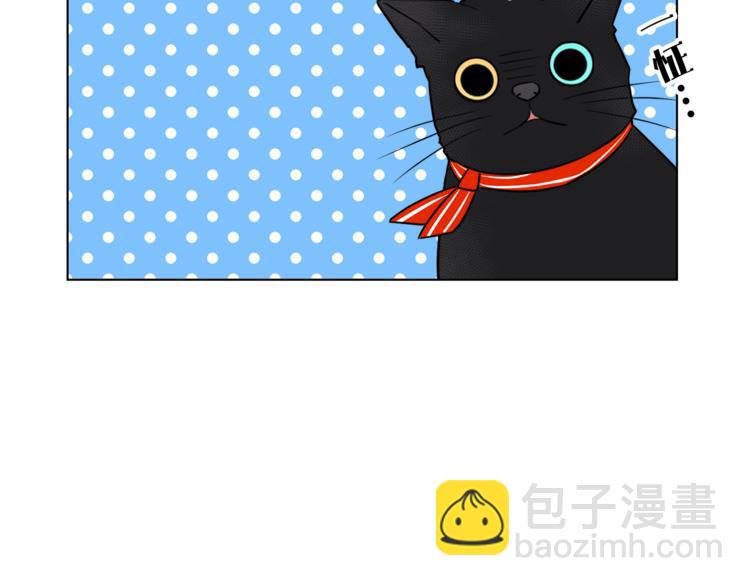 第1+2话 你好小猫咪250