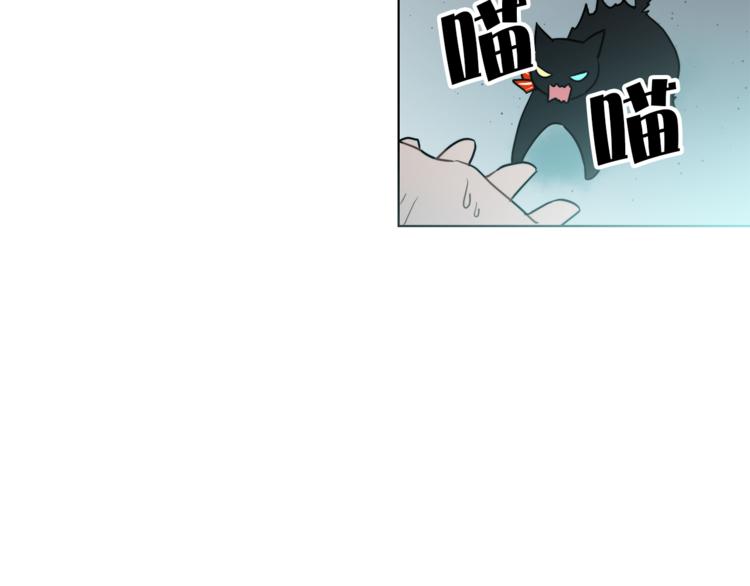 第1+2话 你好小猫咪254