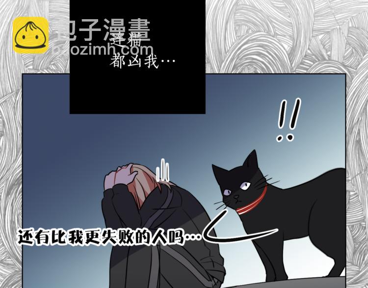 第1+2话 你好小猫咪257