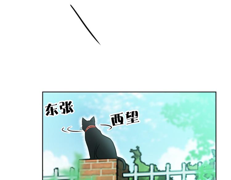 第1+2话 你好小猫咪259