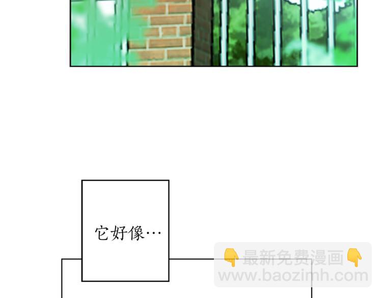 第1+2话 你好小猫咪260