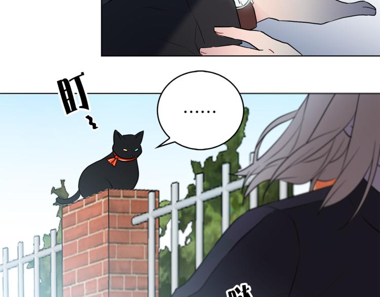 第1+2话 你好小猫咪263