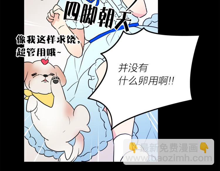 第1+2话 你好小猫咪31