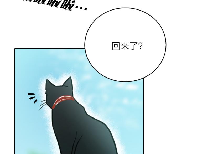 第1+2话 你好小猫咪358