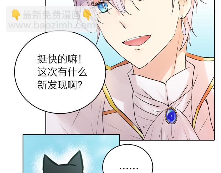第1+2话 你好小猫咪360