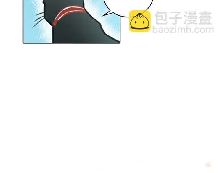 第1+2话 你好小猫咪361