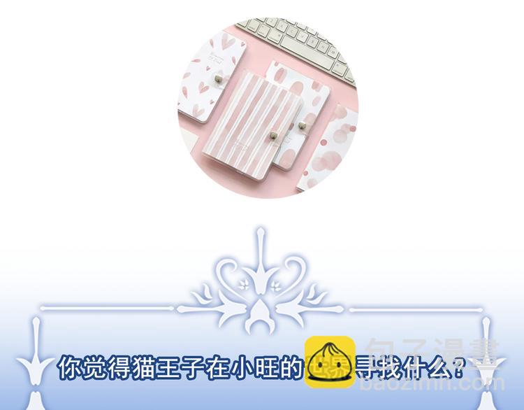 第1+2话 你好小猫咪365