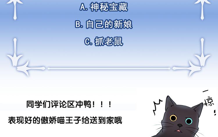 第1+2话 你好小猫咪366