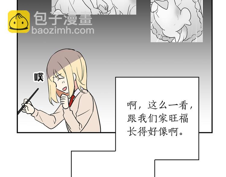 第1+2话 你好小猫咪90