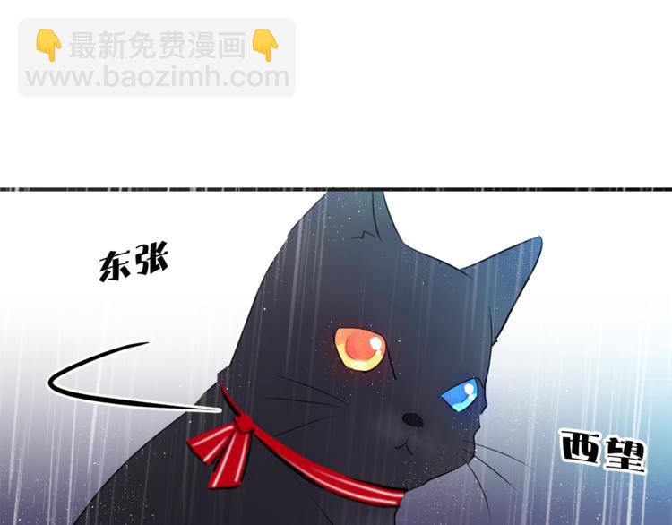 第3话 穿越到猫王国！67