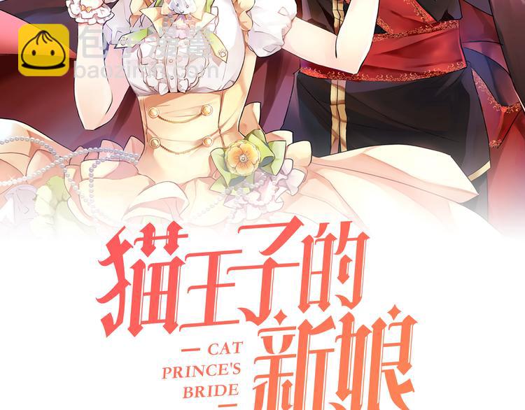 第10话 重寻猫王子1