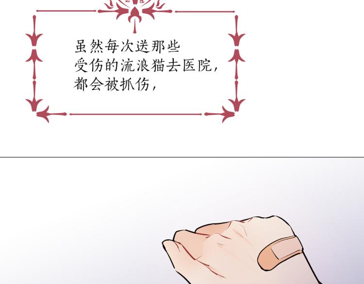 第13话 可恶的猫咪！10