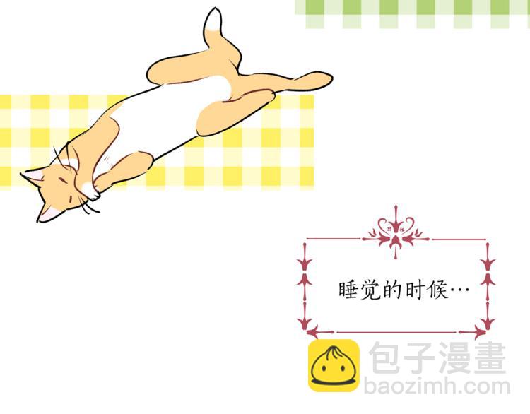 第13话 可恶的猫咪！13