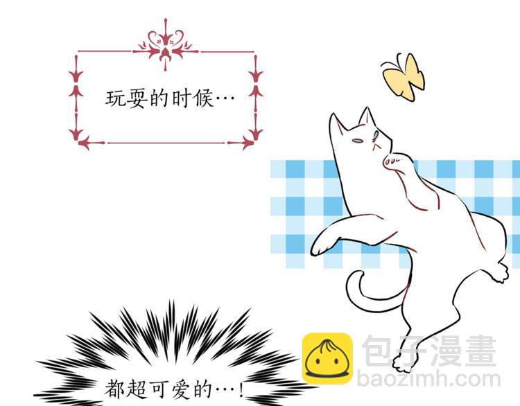 第13话 可恶的猫咪！14