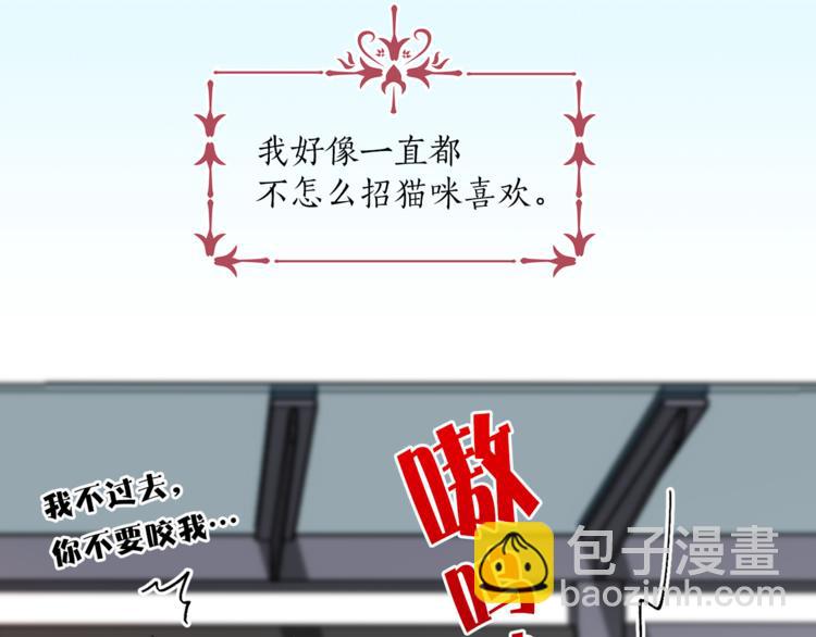 第13话 可恶的猫咪！6
