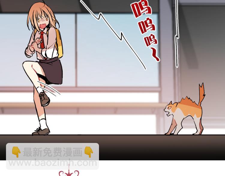 第13话 可恶的猫咪！7
