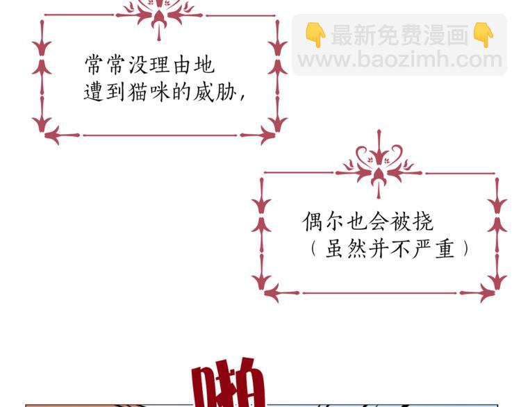 第13话 可恶的猫咪！8