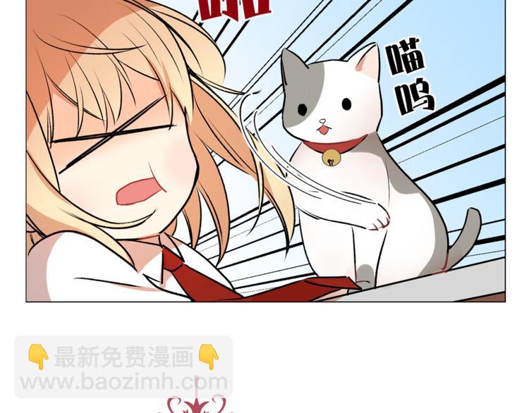 第13话 可恶的猫咪！9
