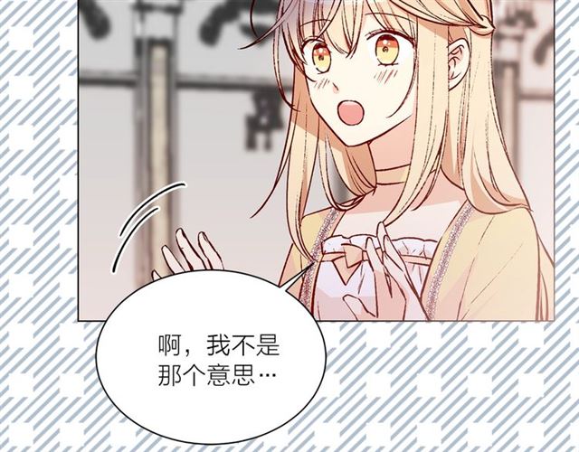 第一季完结篇 花园茶会20
