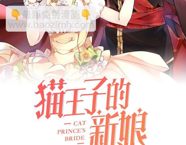 第44话 听您指挥！1