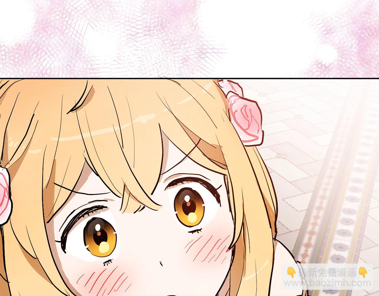 第21话 和王子订婚79