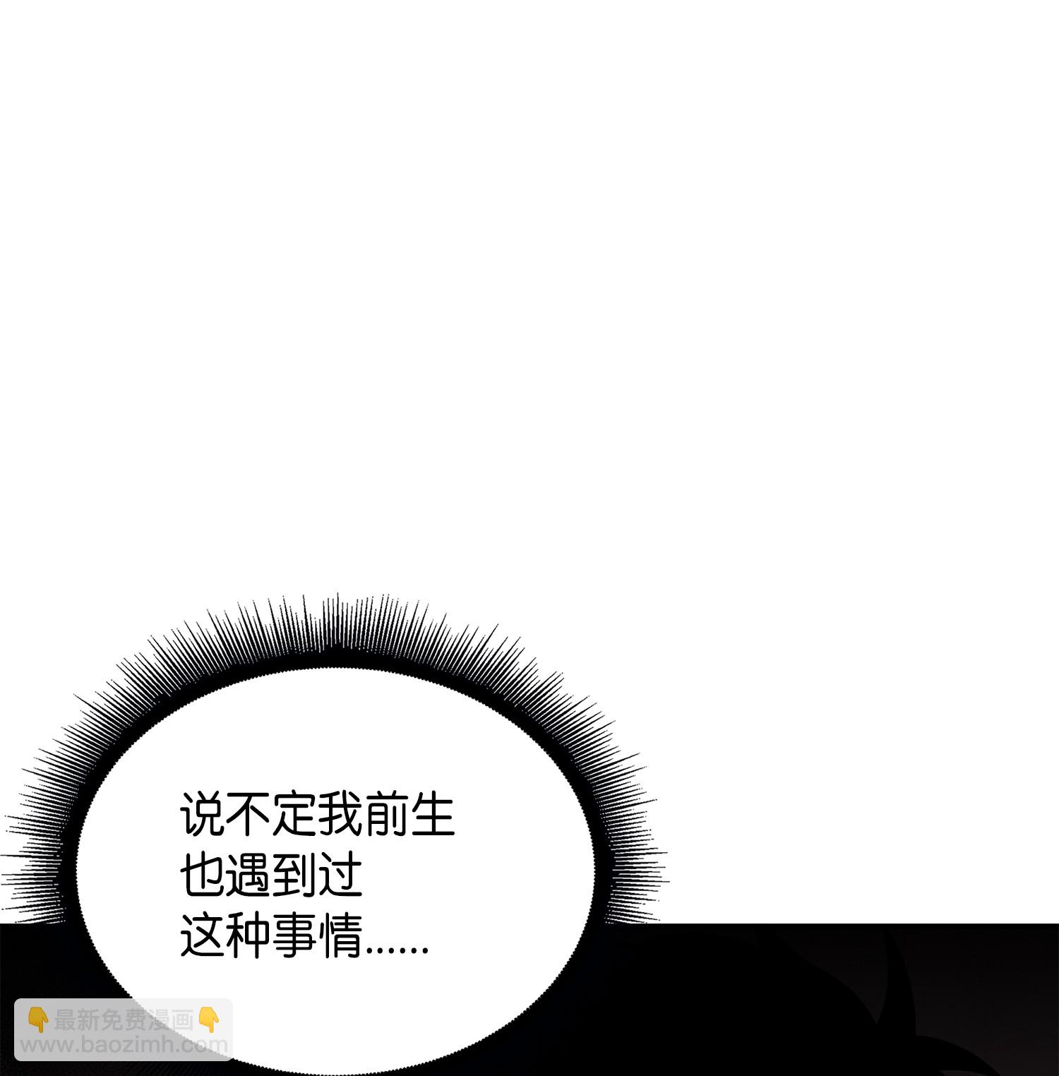 050 以假乱真36