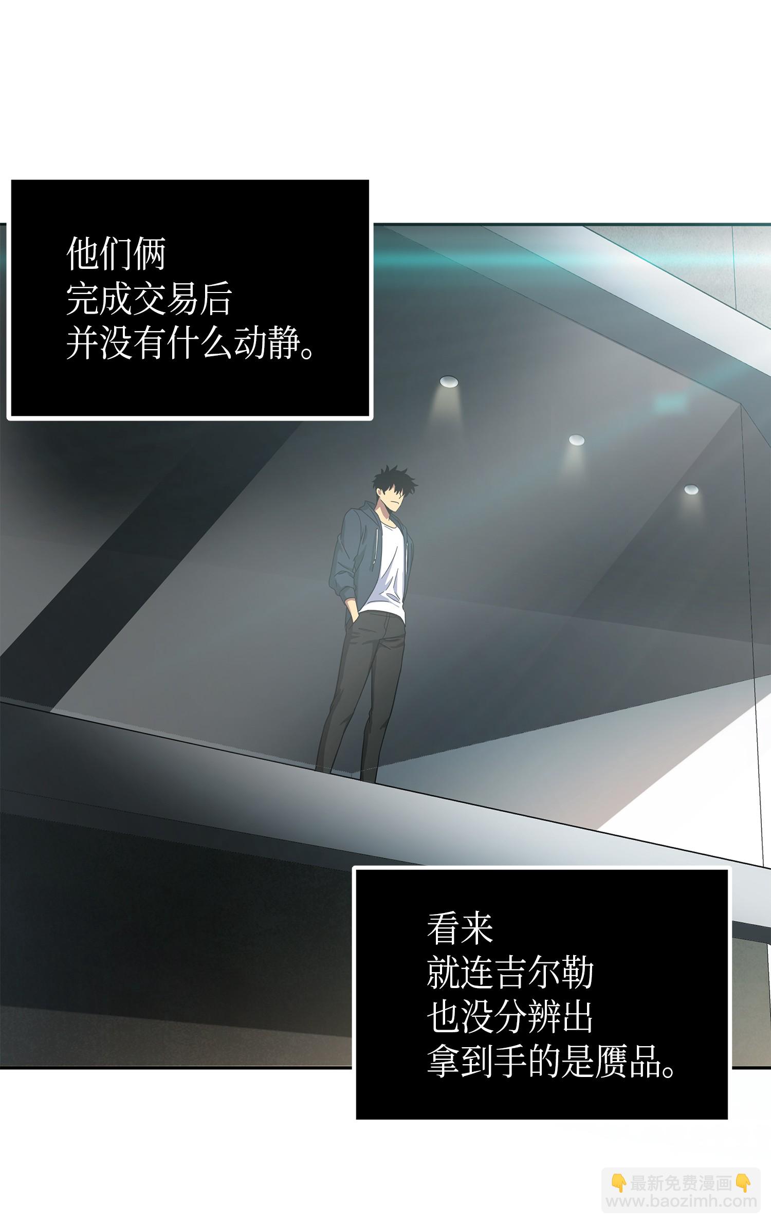 050 以假乱真65