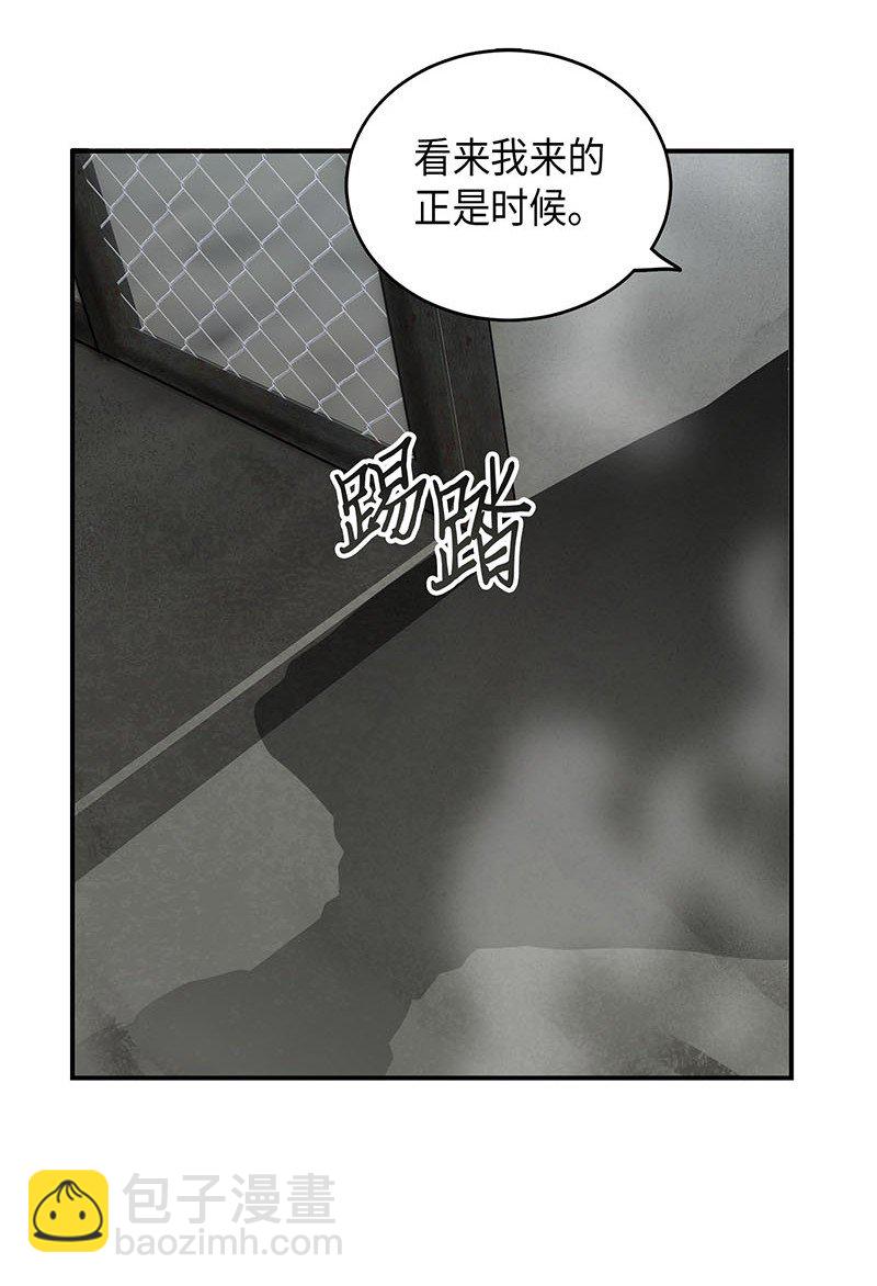 064 唤醒神草80
