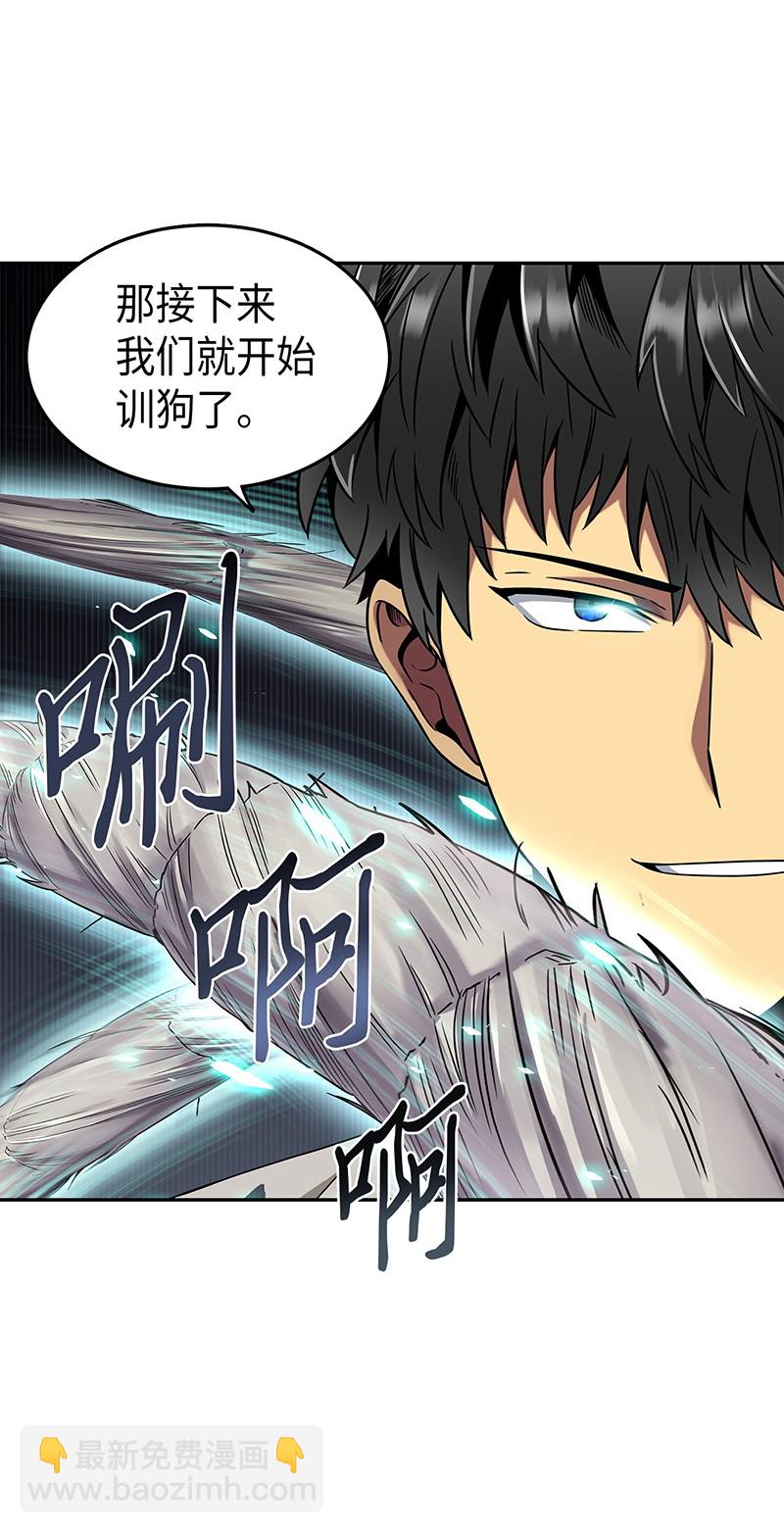 076 训练狗狗16