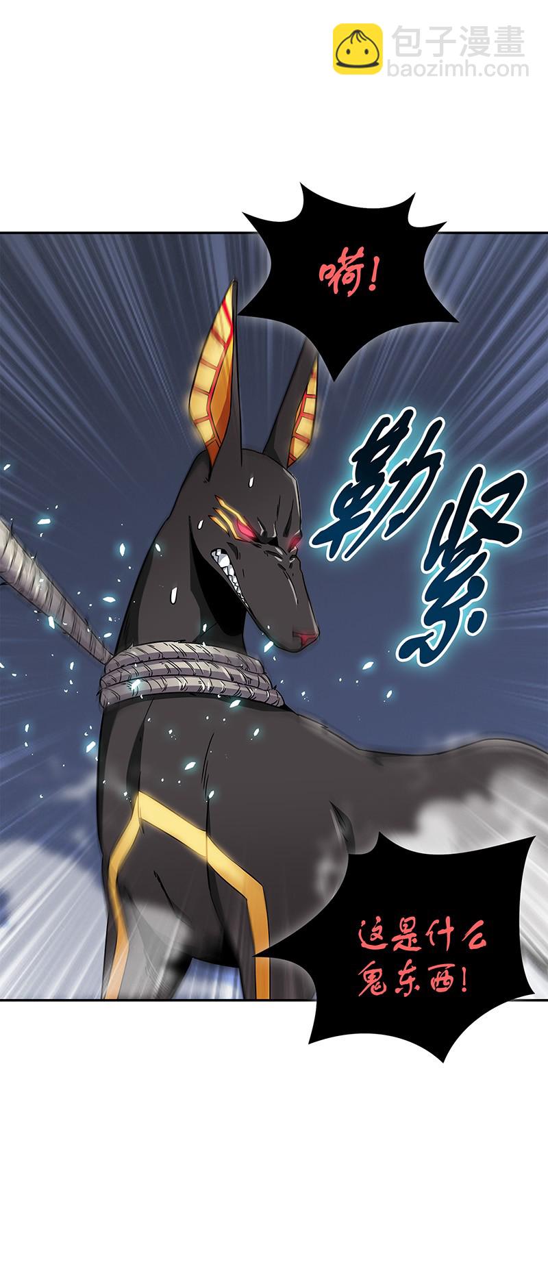 076 训练狗狗17