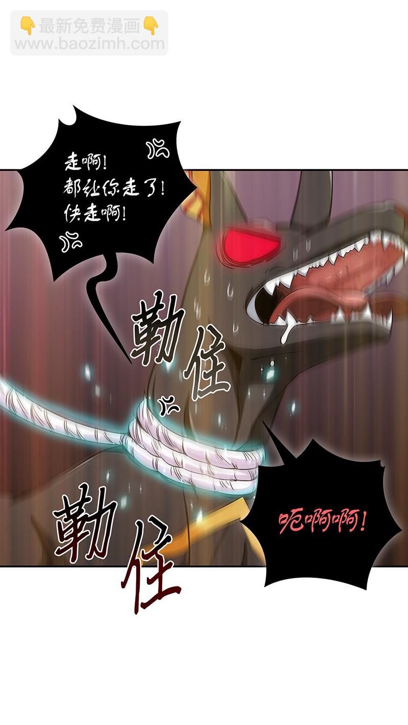 076 训练狗狗19