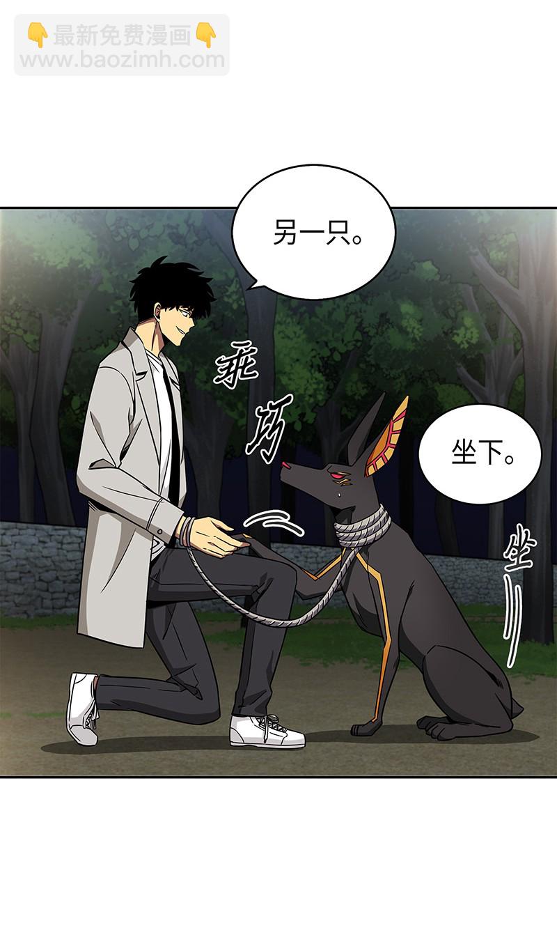 076 训练狗狗25