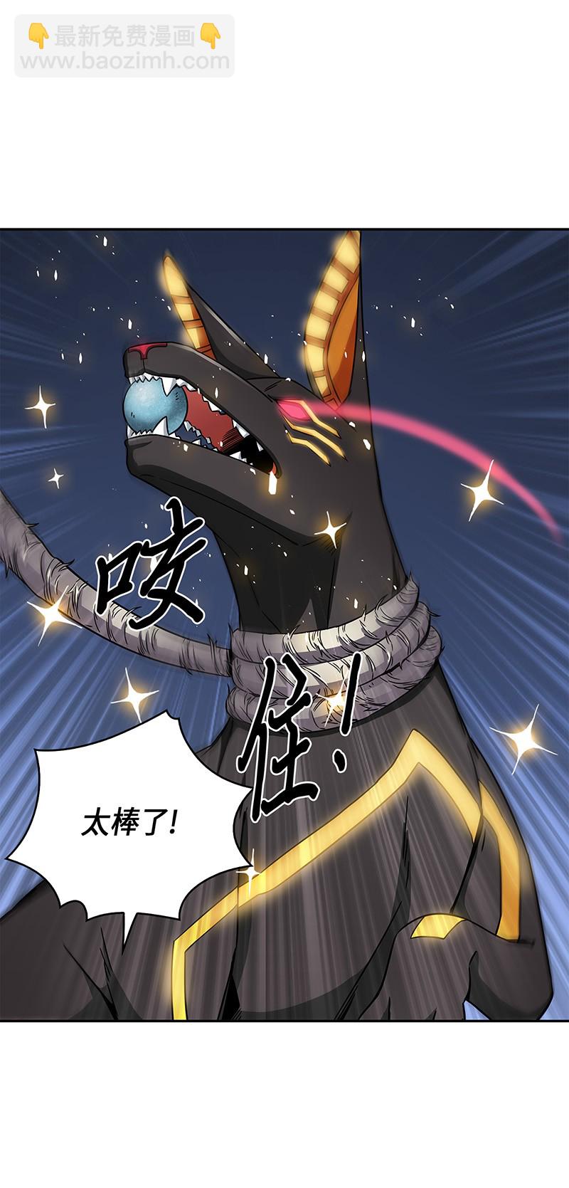 076 训练狗狗35